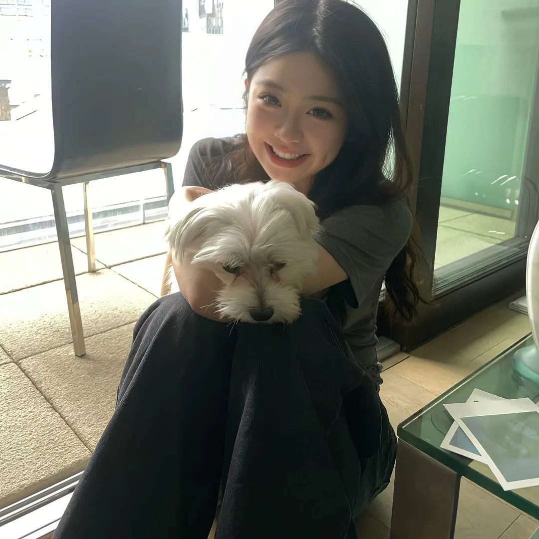 丁丁战猴王